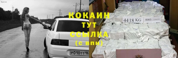 индика Абаза