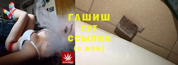 индика Абаза